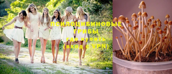дмт Александровское