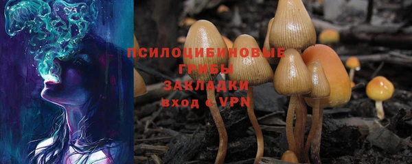 PSILOCYBIN Кущёвская