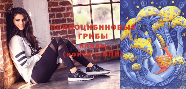 дмт Александровское