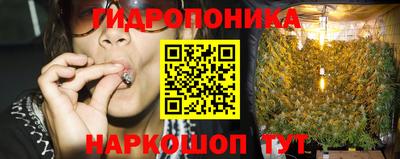 трава Аргун
