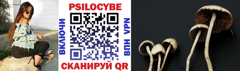 Псилоцибиновые грибы Psilocybine cubensis  Белогорск 