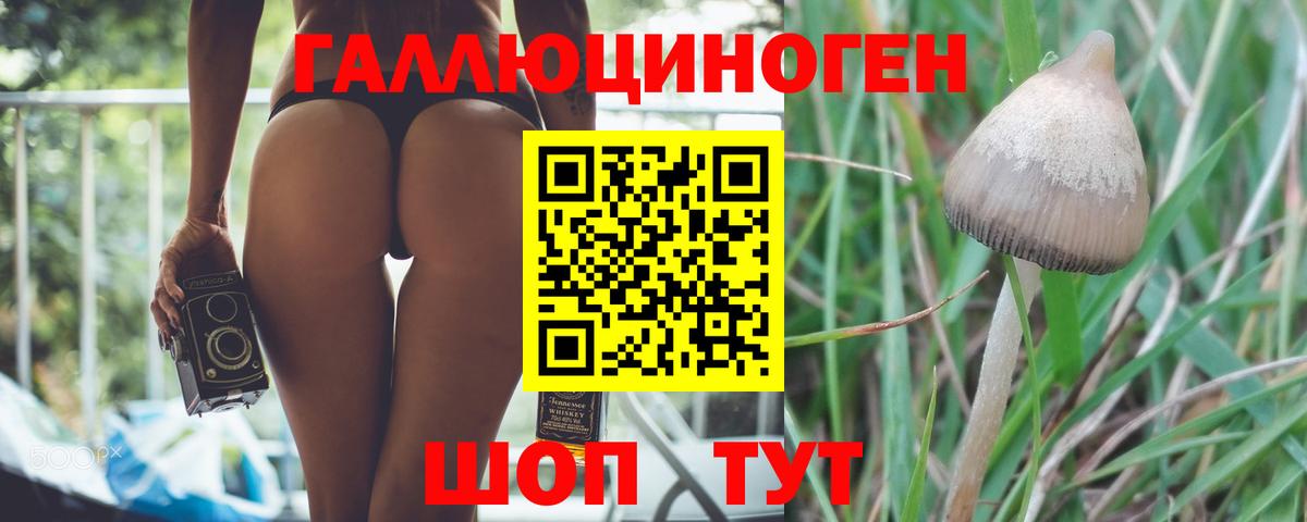 Псилоцибиновые грибы MAGIC MUSHROOMS Белогорск